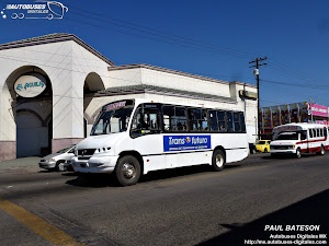 SUT urban transport fleet, Tuxpan, Veracruz